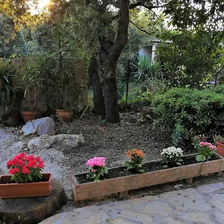 2 Pieces Zen Dans En Pleine Nature Apartment *